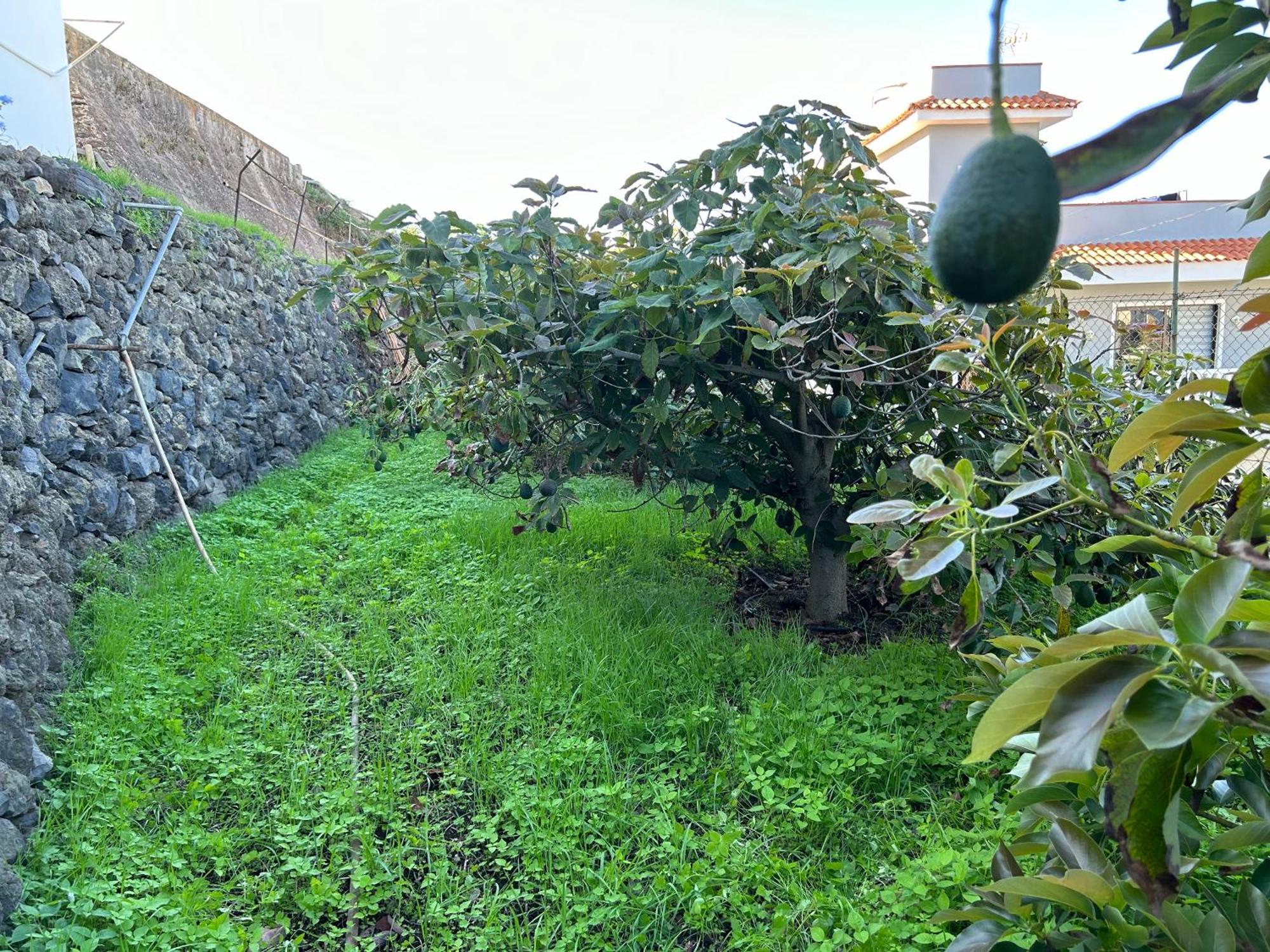 加拉奇科Casa La Oliva公寓 外观 照片